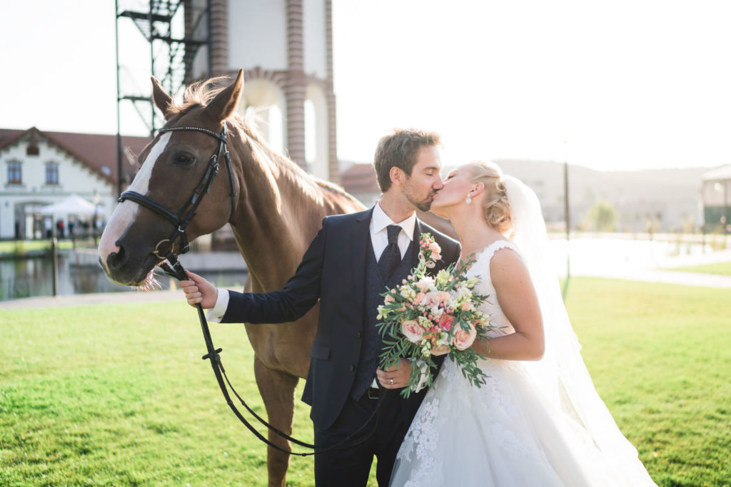 Kone, zapad slnka, nevesta, zenich, svadba