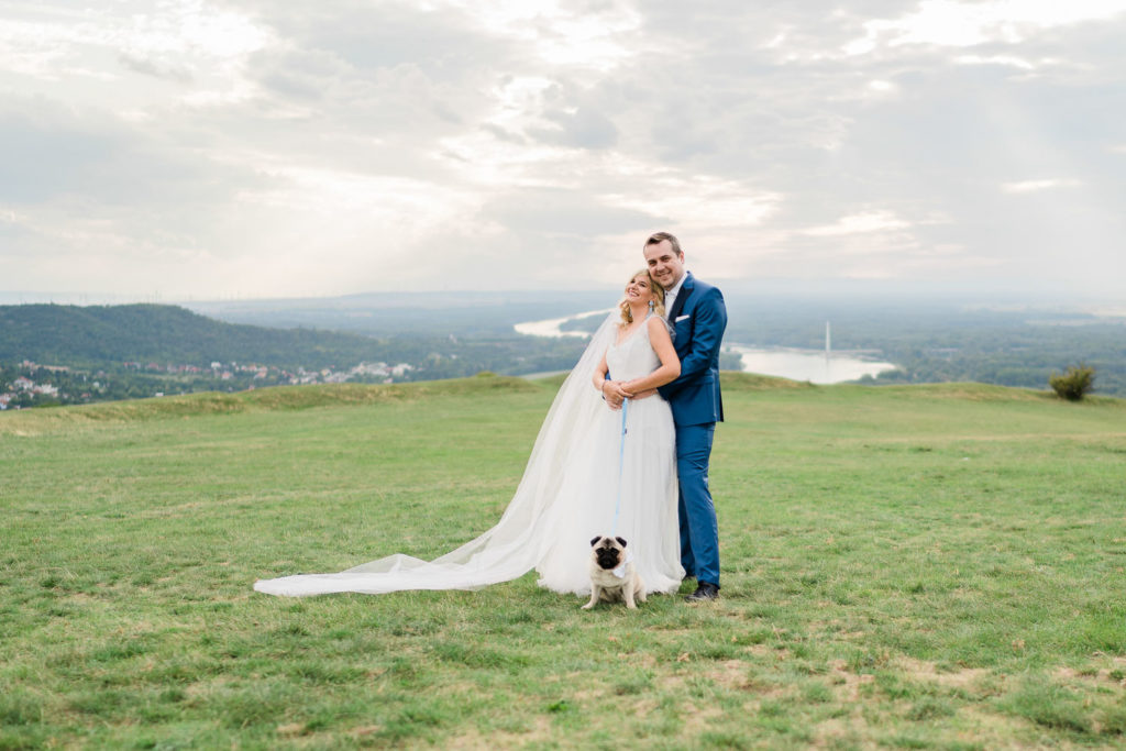 Svadba, Trebisov, Hainburg, priroda, hojdacka, svadba, nevesta, zenich, pes, dunaj